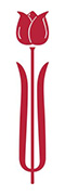 tulipan-parkinson-reducida